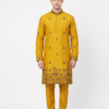 Traditional Embroidered Kurta Set