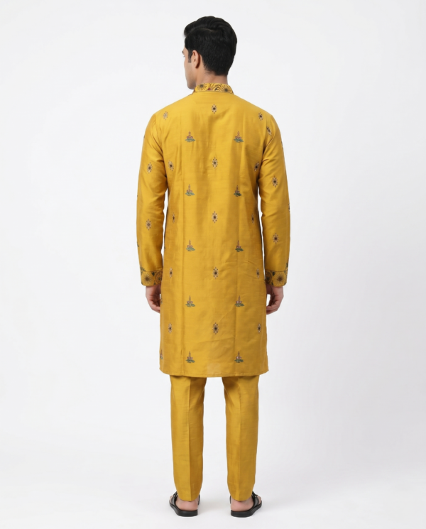 Traditional Embroidered Kurta Set