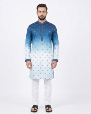 Royal Fade Embroidered Kurta