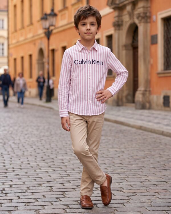 Sweet Stripe Formal Shirt
