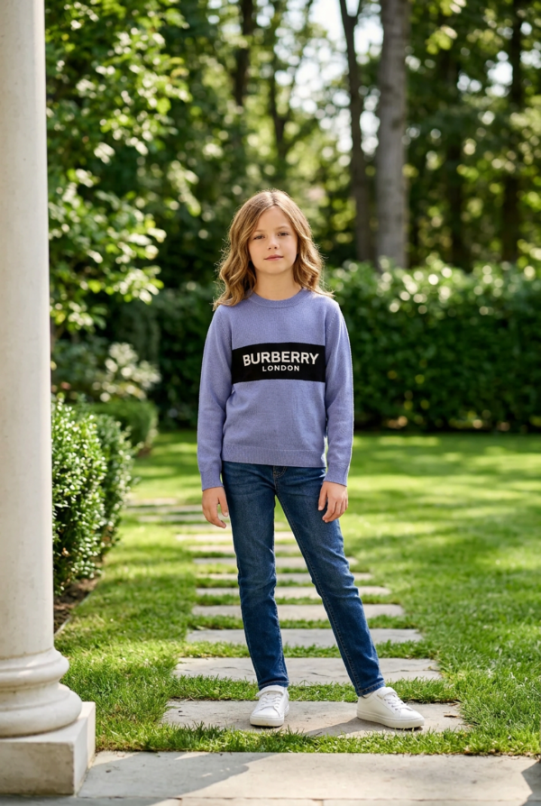 Kids Premium Full Sleeve Contrast Stripe Sweatshirt