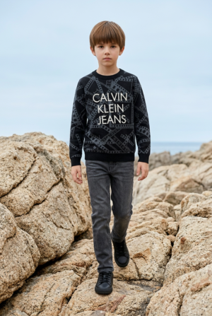Graphic Printed Crewneck Sweatshirt